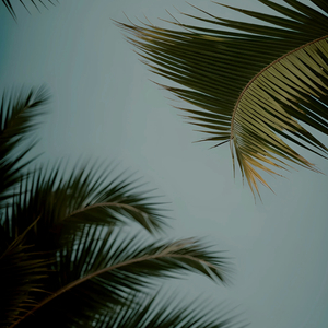 中文精品视频一区二区在线观看
